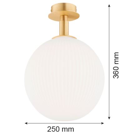 Argon 8505 - Plafonnier PALOMA 1xE27/15W/230V doré/blanc