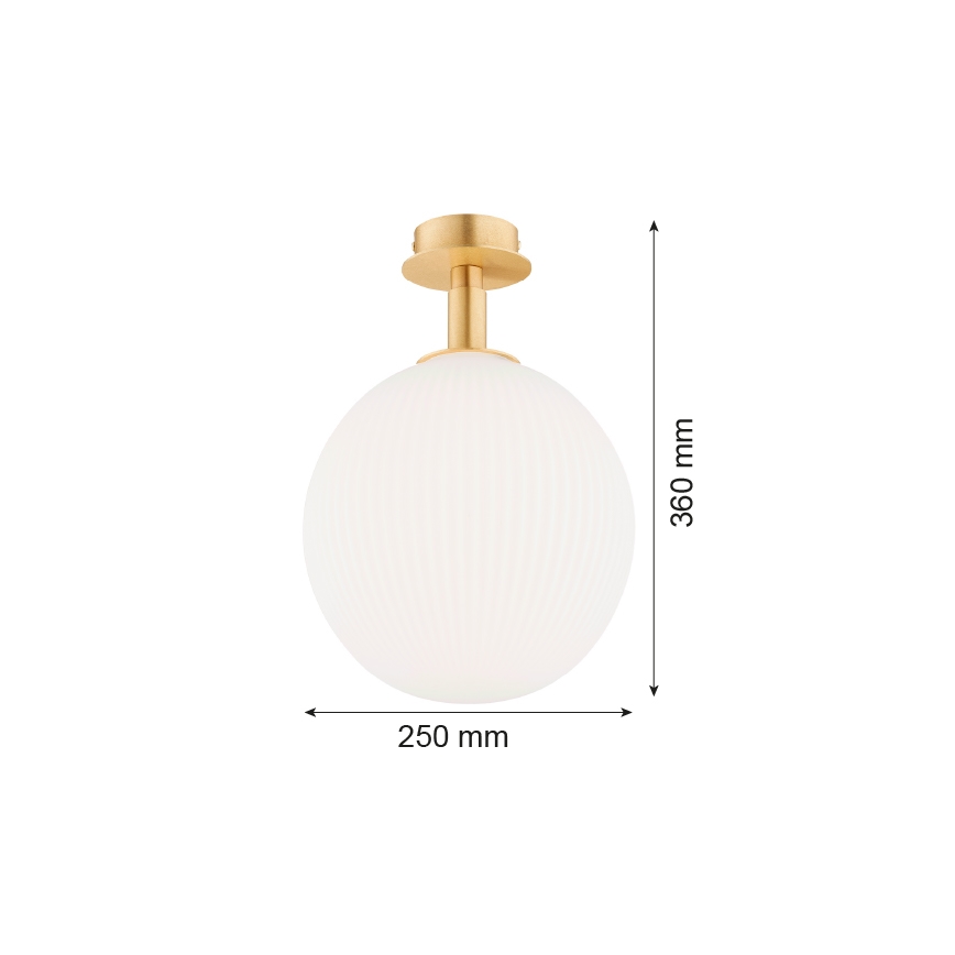 Argon 8505 - Plafonnier PALOMA 1xE27/15W/230V doré/blanc