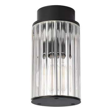 Argon 8773 - Plafonnier extérieur NORFOLK 1xE27/15W/230V IP44 noir