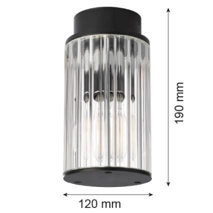 Argon 8773 - Plafonnier extérieur NORFOLK 1xE27/15W/230V IP44 noir