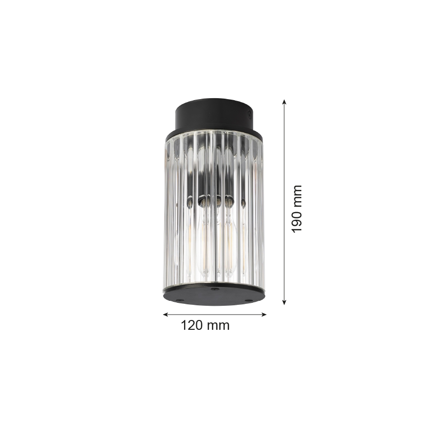 Argon 8773 - Plafonnier extérieur NORFOLK 1xE27/15W/230V IP44 noir