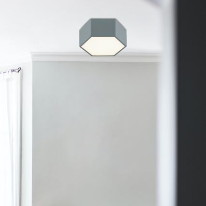 Argon 8784 - Plafonnier LIBERO LED/12W/230V 3000K gris