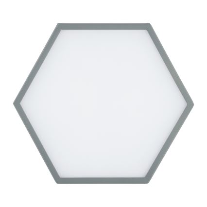 Argon 8784 - Plafonnier LIBERO LED/12W/230V 3000K gris