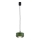 Argon 8815 - Suspension filaire TEVO 1xG9/4,5W/230V vert