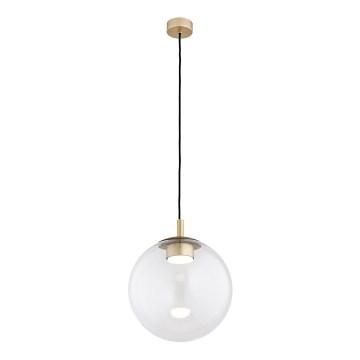 Argon 8828 - Suspension filaire SACRAMENTO 1xGX53/8W/230V transparent/doré