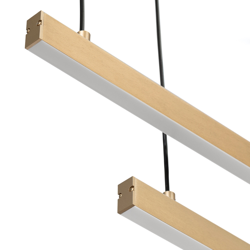 Argon 8839 - Suspension filaire MIAMI LED/74W/230V 3000K doré