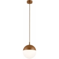 Argon 8998 - Suspension extérieure sur câble LIV 1xE27/15W/230V IP44 marron