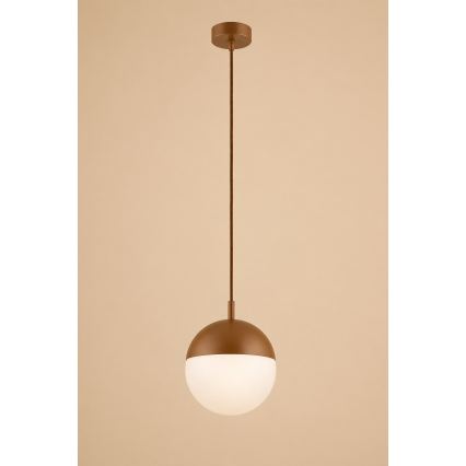 Argon 8998 - Suspension extérieure sur câble LIV 1xE27/15W/230V IP44 marron