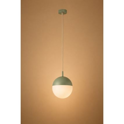 Argon 8999 - Suspension extérieure sur câble LIV 1xE27/15W/230V IP44 vert