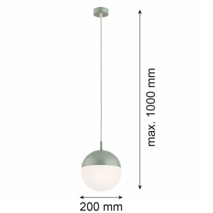 Argon 8999 - Suspension extérieure sur câble LIV 1xE27/15W/230V IP44 vert