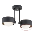 Argon - Verre de rechange pour le lustre MASSIMO PLUS G9