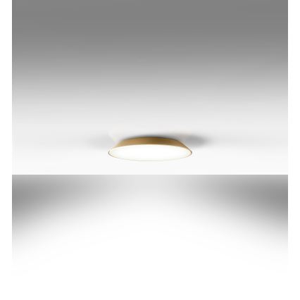 Artemide AR 0241320A - Plafonnier FEBE 4xLED/30W/230V