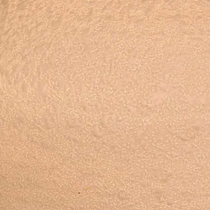 Atmosphera - Lampe de table SEIYA 1xE27/60W/230V marron/beige