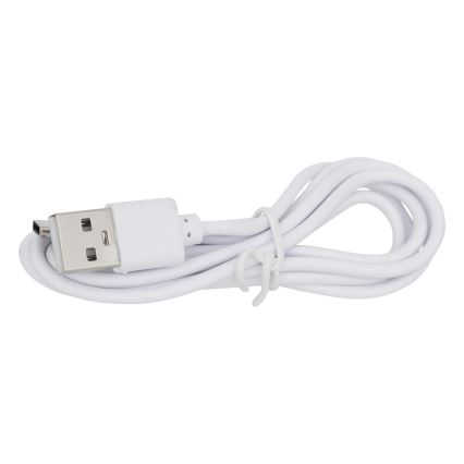 Atmosphera - LED RGBW Rechargeable extérieur lampe de table ZACK LED/3,7V 1200 mAh IP44 beige