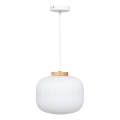 Atmosphera - Suspension sur câble TRAVIS 1xE27/25W/230V en pin