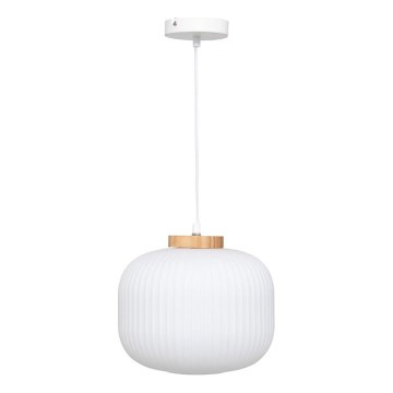 Atmosphera - Suspension sur câble TRAVIS 1xE27/25W/230V en pin