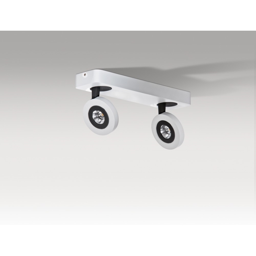 Azzardo AZ0670 - Spot LED ENZO 2xLED/5W/230V