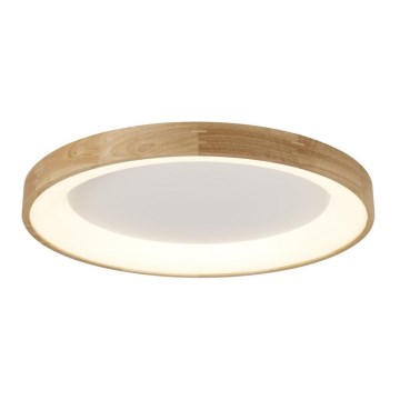 Azzardo AZ2698 - Plafonnier LED SILVAM LED/50W/230V