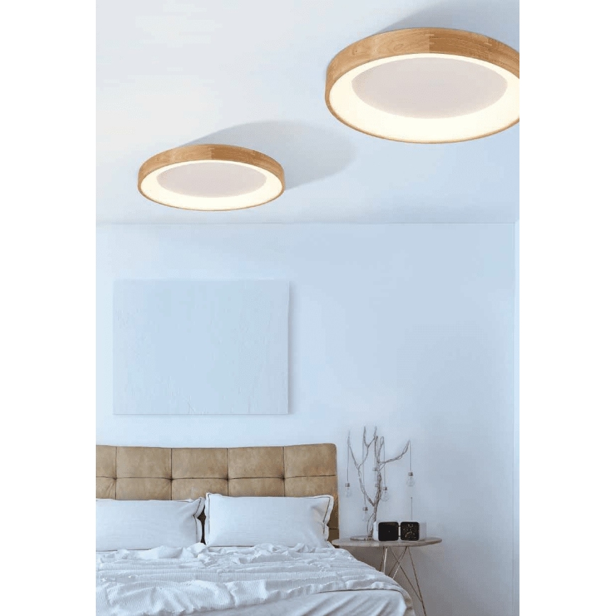 Azzardo AZ2698 - Plafonnier LED SILVAM LED/50W/230V