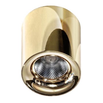 Azzardo AZ2846 - Plafonnier LED MANE 10W/230V