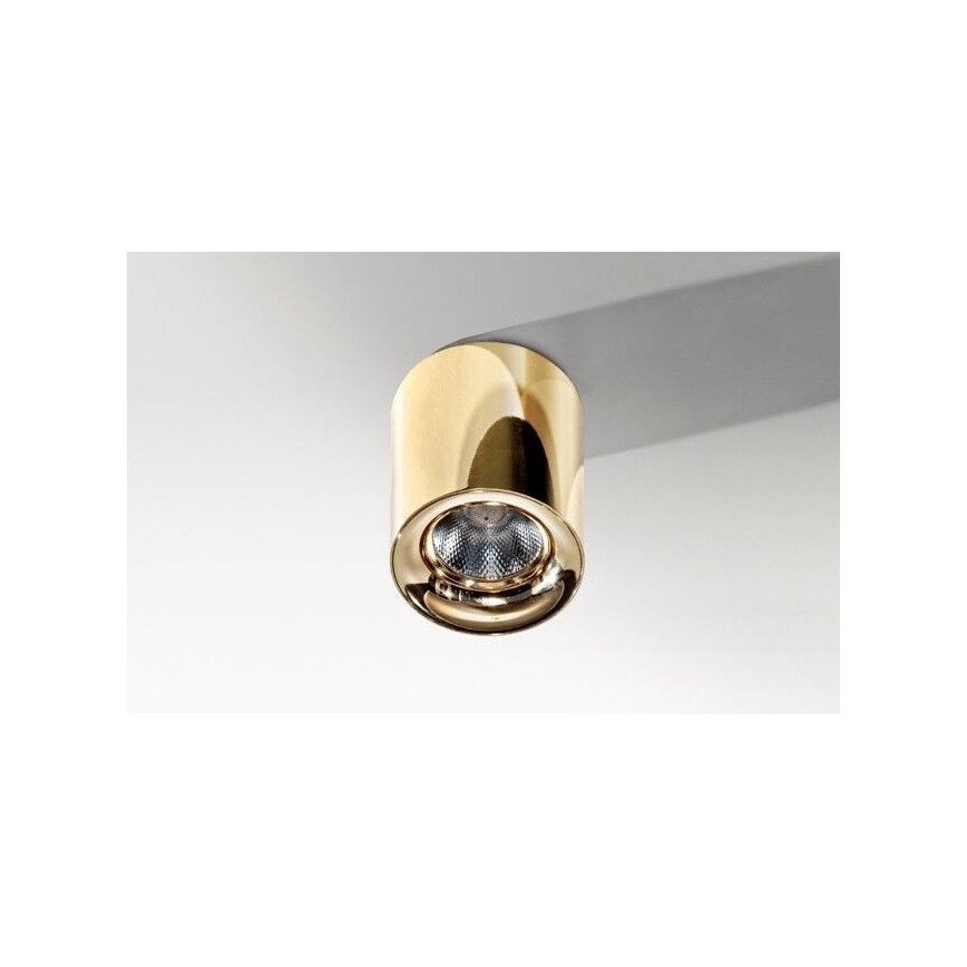 Azzardo AZ2846 - Plafonnier LED MANE 10W/230V