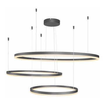 Azzardo AZ4707 - Suspension LED sur câble HALO LED/130W/230V noire