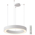 Azzardo AZ5052 - Suspension LED dimmable sur câble MARCO LED/100W/230V blanc + télécommande