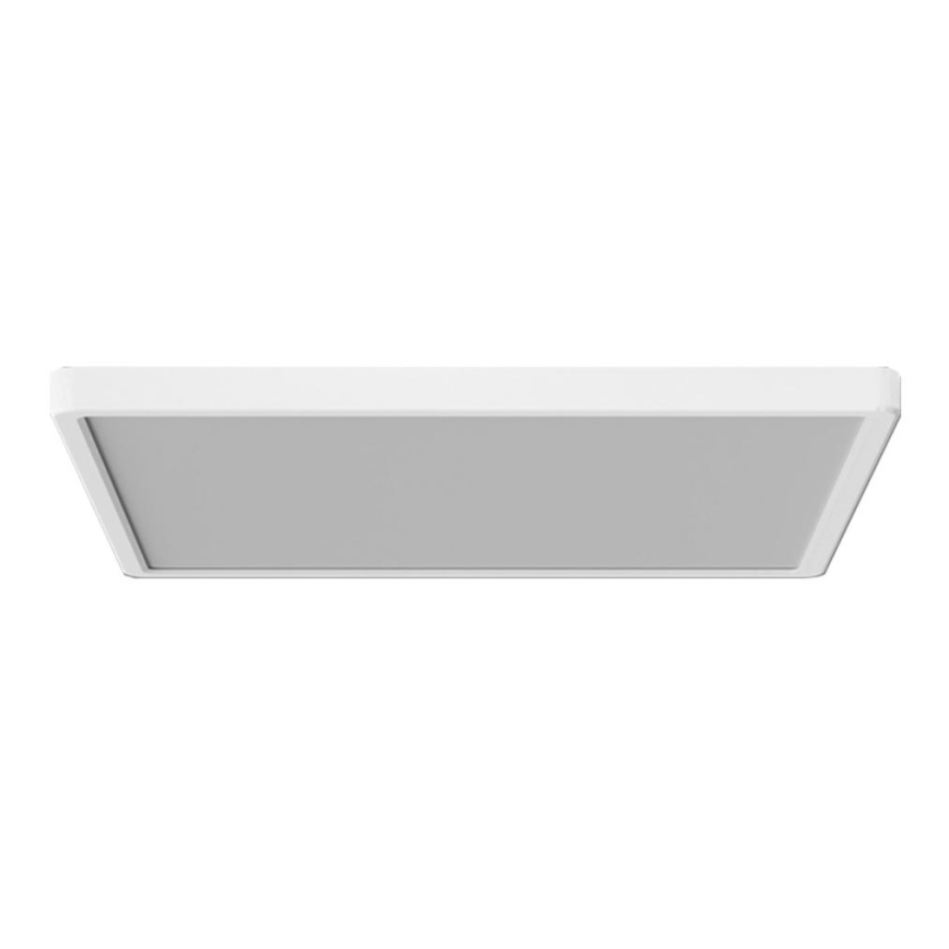 Azzardo AZ5373 - Plafonnier à intensité variable salle de bain PANKA LED/45W/230V IP40 blanc