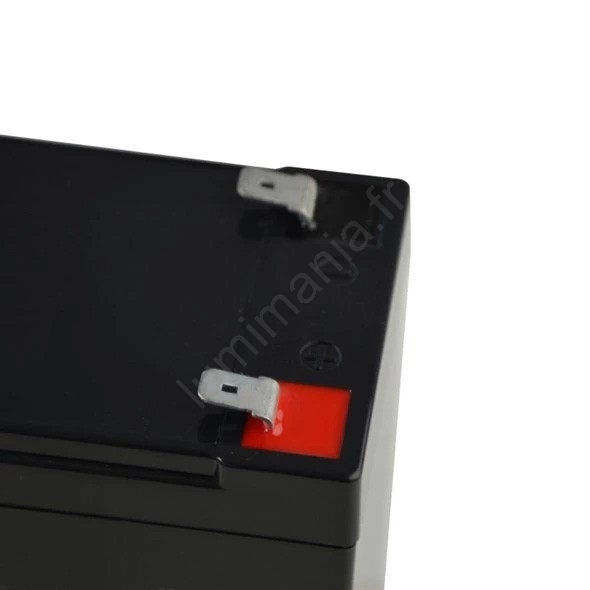 ULTRAMAX LITIO 12V 7AH Batteria Con Caricatore - Piccione Magnet - Foto 4