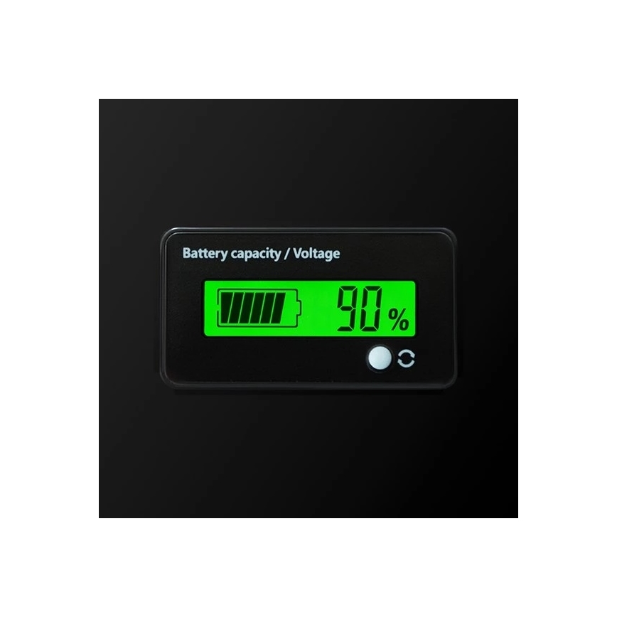 Batterie LiFePO4 12,8V/100Ah avec écran