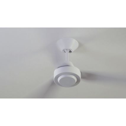 BAYSIDE 213015 - Ventilateur de plafond CALYPSO blanc