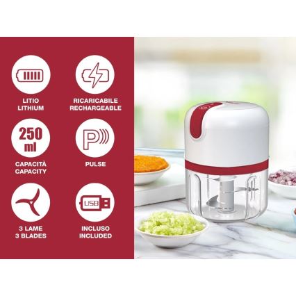 Beper - Hachoir rechargeable 30W/5V 1500 mAh 250 ml