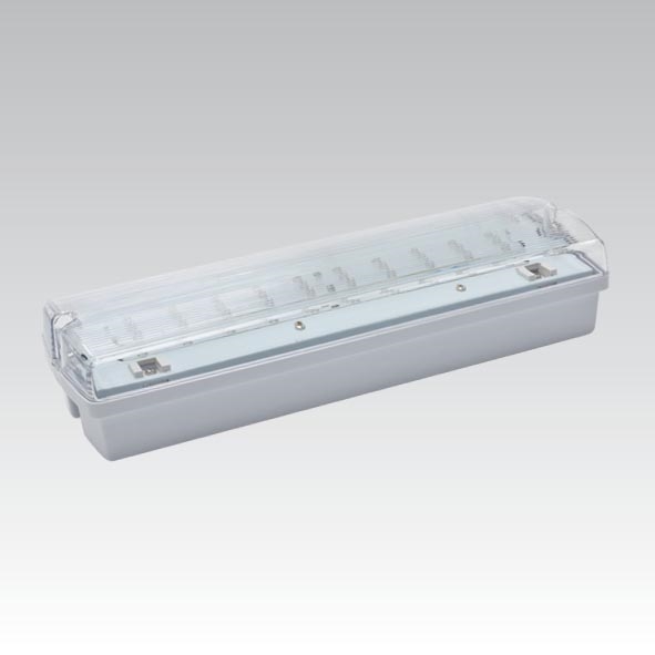 Bloc de secours CARLA LED/5,51W/230V temporaire 1h/350 mAh IP65