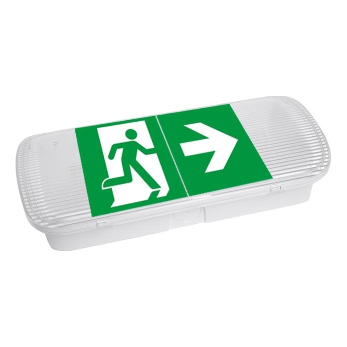 Bloc de secours VIRGO EVO LED/1W/230V 6000K IP65