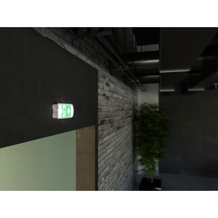 Bloc de secours VIRGO EVO LED/1W/230V 6000K IP65