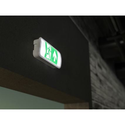 Bloc de secours VIRGO EVO LED/1W/230V 6000K IP65