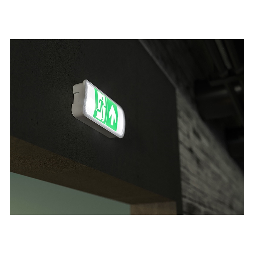 Bloc de secours VIRGO EVO LED/1W/230V 6000K IP65