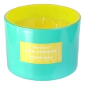Bougie parfumée AQUA PARADISE 292 g