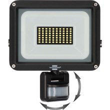 Brennenstuhl - Projecteur d'extérieur LED avec détecteur LED/30W/230V 6500K IP65
