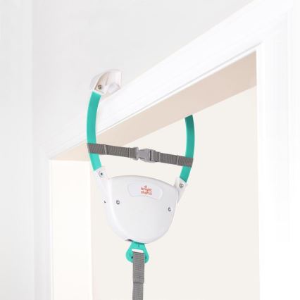 Bright Starts - Sauteur de porte PLAYFUL PARADE