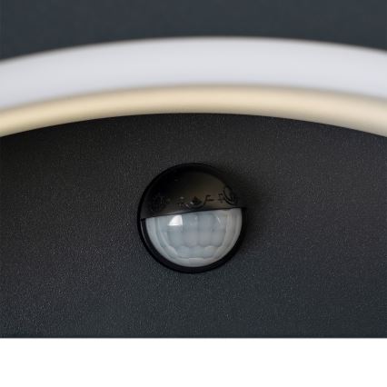 Brilagi - Applique extérieure LED avec détecteur ARCELO LED/8W/230V IP54