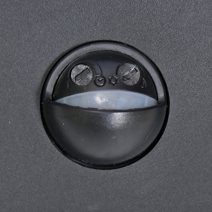 Brilagi - Applique extérieure LED avec détecteur ARCELO LED/9W/230V IP44