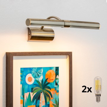 Brilagi - Applique LED pour tableau DANAE 2xE14/4W/230V 3000K bronze