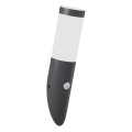 Brilagi - Applique murale d'extérieur avec détecteur de mouvement ELIA 1xE27/20W/230V IP44 anthracite