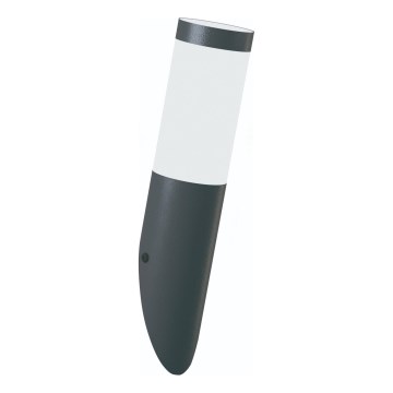 Brilagi - Applique murale d'extérieur ELIA 1xE27/20W/230V IP44 anthracite