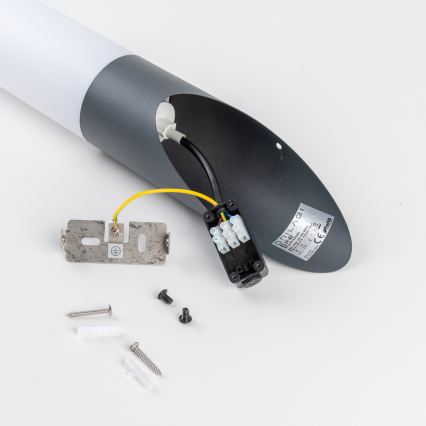 BRILAGI - Applique murale d'extérieur ELIA 1xE27/20W/230V IP44 anthracite