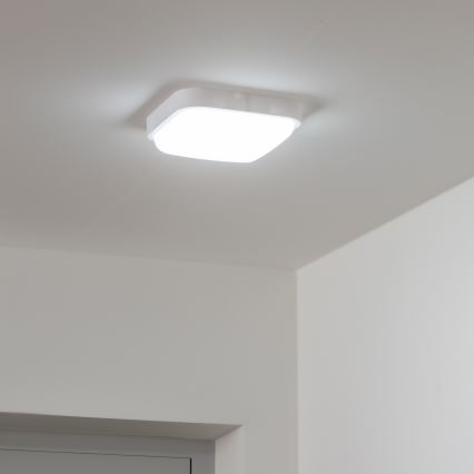 Brilagi - Applique murale d'extérieur LED/20W/230V IP54