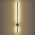 Brilagi - Applique murale d'extérieur LED AURA LED/12W/230V 3000K IP54 65 cm anthracite IRC 90