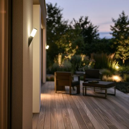 BRILAGI - Applique murale d'extérieur LED dimmable ELIA 1xE27/6W/230V 2700-6500K IP44 Wi-Fi anthracite