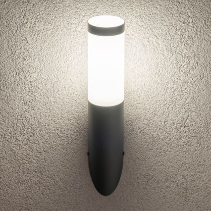 BRILAGI - Applique murale d'extérieur LED dimmable ELIA 1xE27/6W/230V 2700-6500K IP44 Wi-Fi anthracite